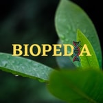 Podcast Biopedia