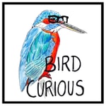 Podcast Bird Curious