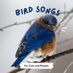 Logo of the podcast Bird Songs for Cats Podcast Bird Songs for Cats