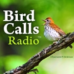 Logo of the podcast BirdCallsRadio Podcast BirdCallsRadio
