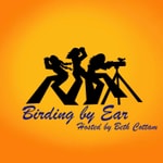 Logo of the podcast Birding By Ear Logo of the podcast Birding By Ear