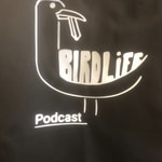 Logo of the podcast birdlife podcast Podcast birdlife podcast