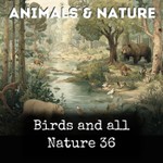 Logo of the podcast Birds and all Nature 36 Podcast Birds and all Nature 36