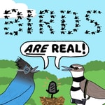 Logo of the podcast Birds Are Real Podcast Podcast Birds Are Real Podcast