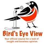 Logo of the podcast Bird's Eye View Podcast Bird's Eye View