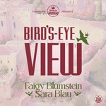 Logo of the podcast Bird’s Eye View Podcast Bird’s Eye View