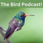 Logo of the podcast Birds Podcast Birds