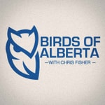 Logo of the podcast Birds of Alberta with Chris Fisher Podcast Birds of Alberta with Chris Fisher