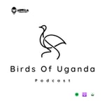 Logo of the podcast Birds Of Uganda Podcast Podcast Birds Of Uganda Podcast