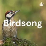 Logo of the podcast Birdsong Podcast Birdsong