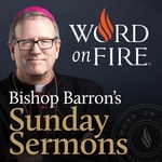 Logo of the podcast Bishop Barron’s Sunday Sermons - Catholic Preaching and Homilies
