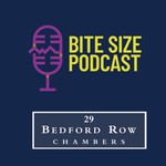 Podcast Bite Size Barristers