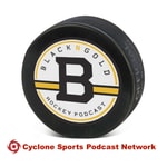 Logo of the podcast Black N' Gold Hockey Podcast Podcast Black N' Gold Hockey Podcast