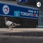 Logo of the podcast Blue Jays World Update Podcast Blue Jays World Update
