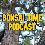 Bonsai Time Podcast Bonsai Time Podcast