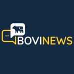 Logo of the podcast BoviNews Podcast BoviNews
