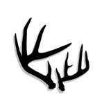 Logo of the podcast Bowhunting Pressured Whitetails Podcast Bowhunting Pressured Whitetails