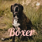 Podcast Bóxer