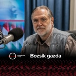 Logo of the podcast Bozsik gazda podcast Podcast Bozsik gazda podcast