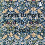 Podcast Brain Tumors And The Cell Cycle