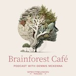 Logo of the podcast Brainforest Café Podcast Brainforest Café
