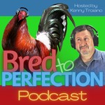 Bred to Perfection Podcast Bred to Perfection