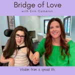Logo of the podcast Bridge of Love Podcast Bridge of Love