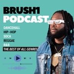Logo of the podcast Brush1 Podcast Podcast Brush1 Podcast