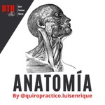 Logo of the podcast BTH-Anatomía Podcast BTH-Anatomía