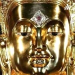 Logo of the podcast Buddha Teaching Podcast Buddha Teaching