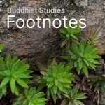 Logo of the podcast Buddhist Studies Footnotes Podcast Buddhist Studies Footnotes