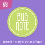 Logo of the podcast Bug Note Podcast Bug Note