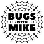 Logo of the podcast Bugs With Mike Podcast Bugs With Mike