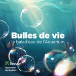 Logo of the podcast Bulles de vie : le balad'eau de l'Aquarium Podcast Bulles de vie : le balad'eau de l'Aquarium