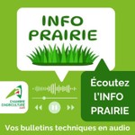 Podcast Bulletin INFO PRAIRIE de la Chambre d'agriculture de l'Allier (version audio)