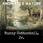 Logo of the podcast Bunny Cottontail, Jr. Podcast Bunny Cottontail, Jr.
