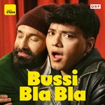 Logo of the podcast Bussi Bla Bla Podcast Bussi Bla Bla