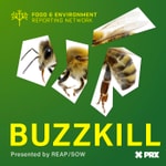 Logo of the podcast BUZZKILL, presented by REAP/SOW Podcast BUZZKILL, presented by REAP/SOW