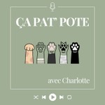 ça pat' pote Podcast ça pat' pote