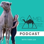 Logo of the podcast Camel Channel with Tara Lea Podcast Camel Channel with Tara Lea