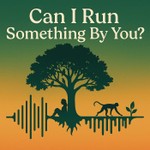 Podcast Can I Run Something By You?