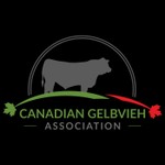 Logo of the podcast Canadian Gelbvieh Connection Podcast Canadian Gelbvieh Connection