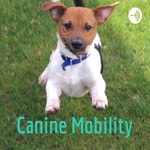 Podcast Canine Mobility