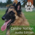 Logo of the podcast Canine Nation Podcast Canine Nation