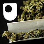 Logo of the podcast Cannabis, Consciousness and the Imagination - for iPad/Mac/PC Podcast Cannabis, Consciousness and the Imagination - for iPad/Mac/PC