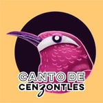 Podcast Canto de Cenzontles