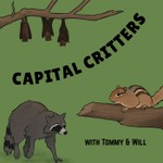 Logo of the podcast Capital Critters Podcast Capital Critters