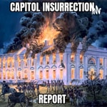 Capitol Insurrection Report Capitol Insurrection Report