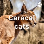 Logo of the podcast Caracal cats Podcast Caracal cats