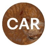 Logo of the podcast CAR_rca Podcast CAR_rca